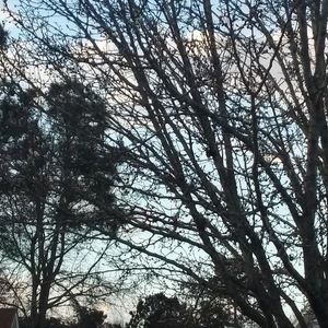 Meet your Posher, Onaleigh